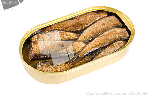 Image of Sprat fish canned isolated