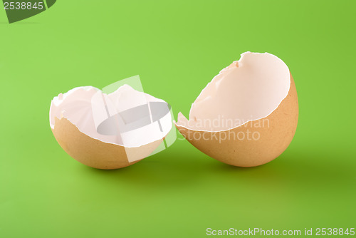 Image of Brown egg shell