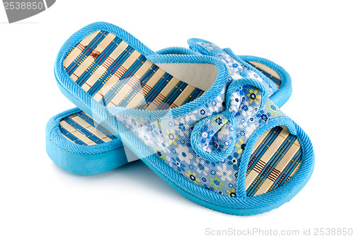 Image of Blue slipper