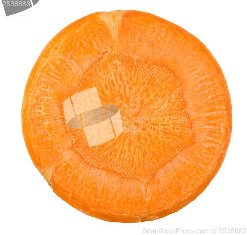Image of Carrot cut in slices