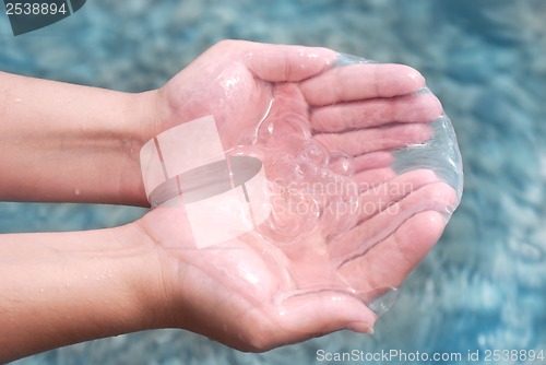 Image of Jellyfish in hand