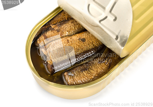 Image of Canned sardines isolated