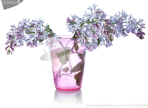 Image of Lilacs in a glass