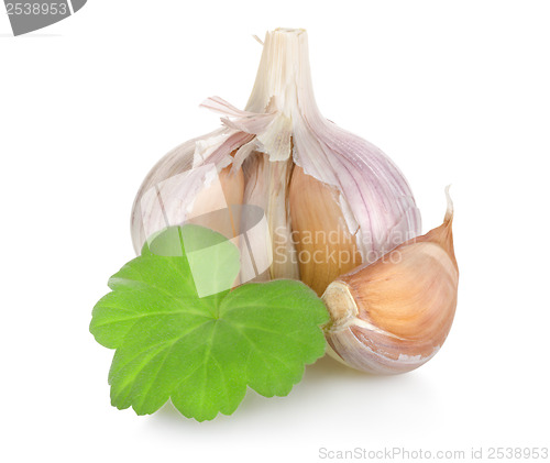Image of Raw garlic