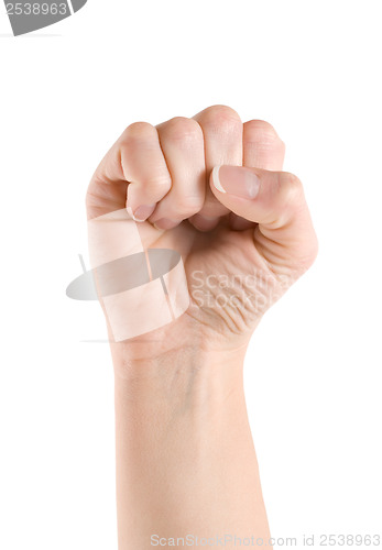 Image of Fist hand
