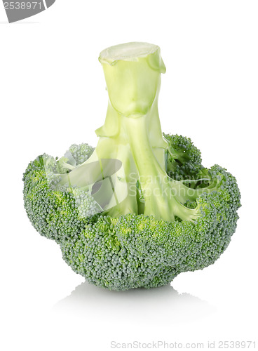 Image of Broccoli isolated