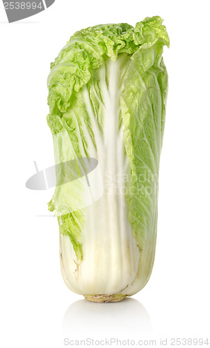 Image of Chinese cabbage