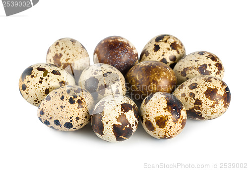 Image of Quail eggs