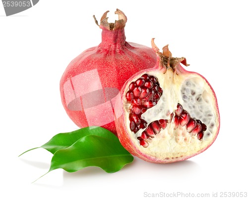 Image of Pomegranate with leaves