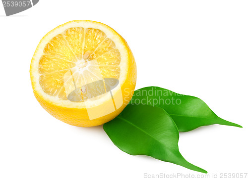 Image of Lemon with leaves