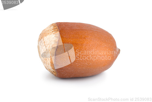 Image of One nut