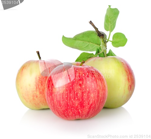 Image of Three ripe apples isolated