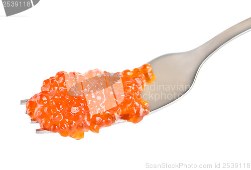 Image of Red caviar on a fork