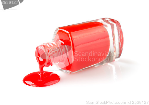 Image of Nail Polish