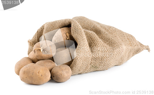 Image of Raw potatoes isolated