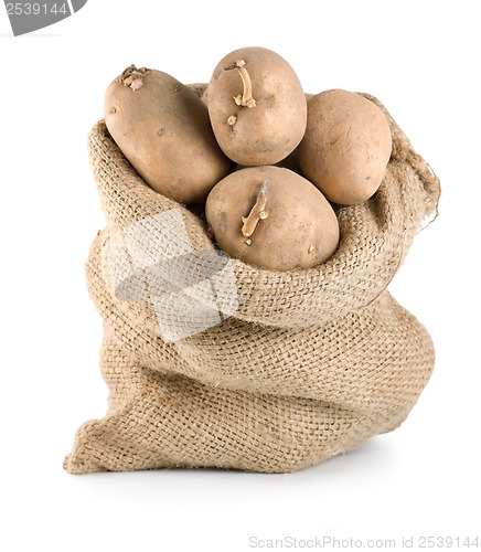 Image of Potatoes in sack