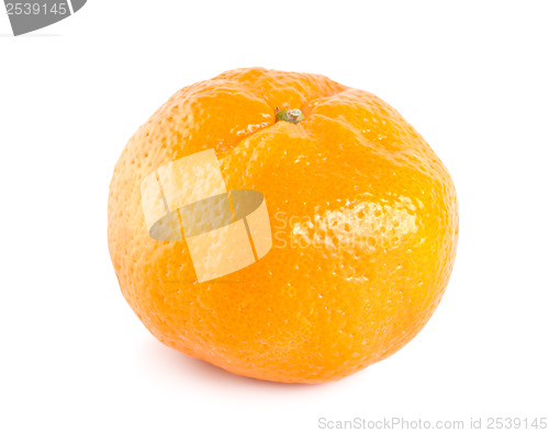 Image of Yellow orange