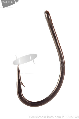 Image of Metal fishing hook