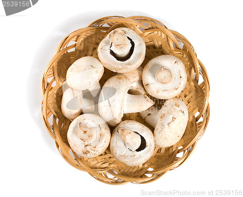 Image of Mushrooms in a wooden basket