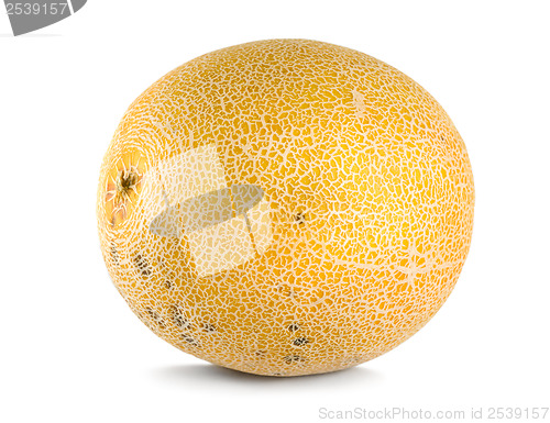 Image of Cantaloupe