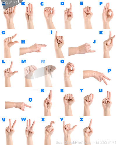 Image of Hand sign language alphabet