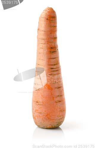 Image of Fresh carrot isolated