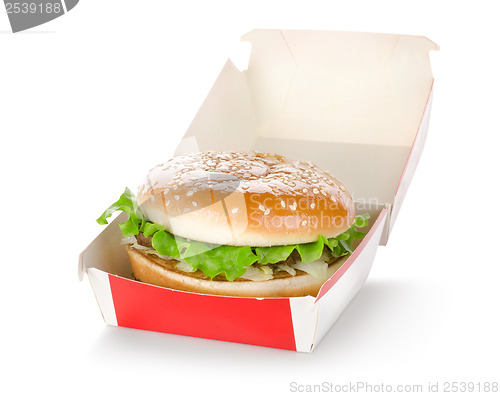 Image of Hamburger in package 