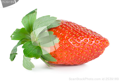 Image of Juicy strawberry