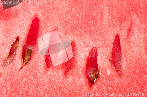 Image of Watermelon backgrounds