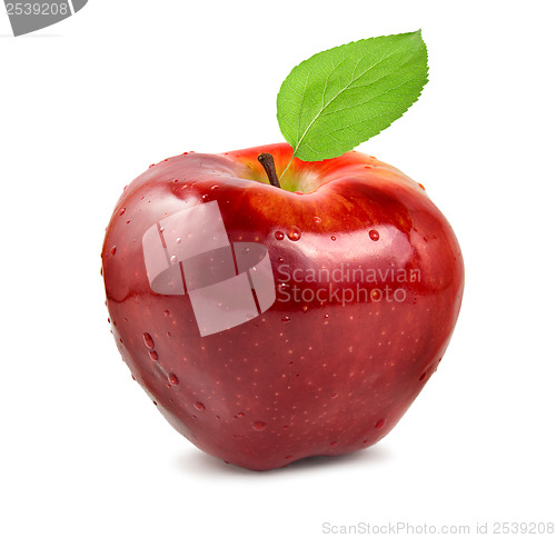 Image of Red apple