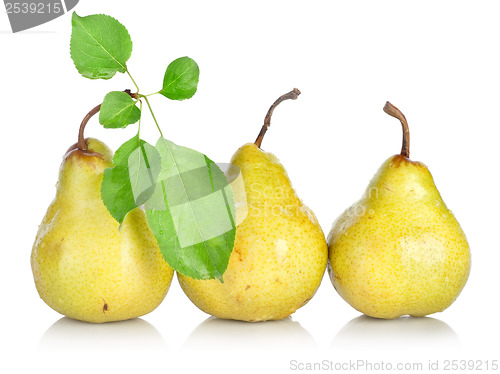 Image of Yellow pears with green leafs