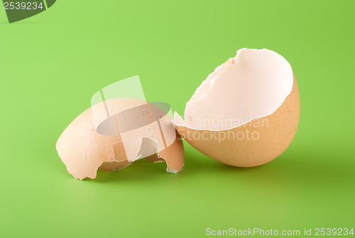 Image of Egg shell on a green background