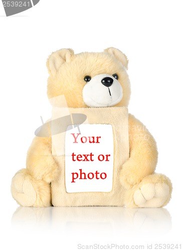 Image of Teddy bear with photo frame