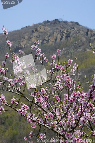 Image of Mount Huaguo