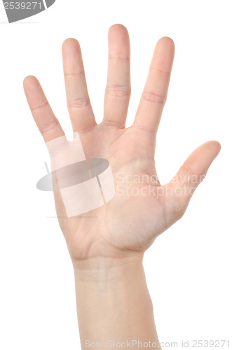 Image of Human hand isolated