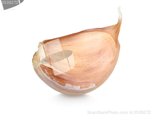 Image of Cloves of garlic