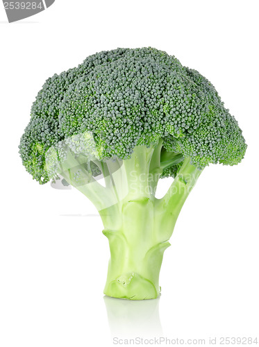 Image of Broccoli