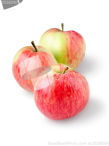 Image of Three ripe apples