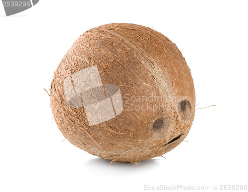 Image of Ripe coconut isolated