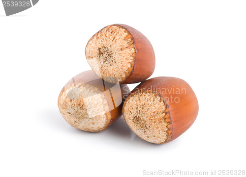 Image of Three hazelnuts