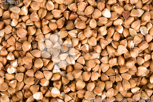 Image of Buckwheat background