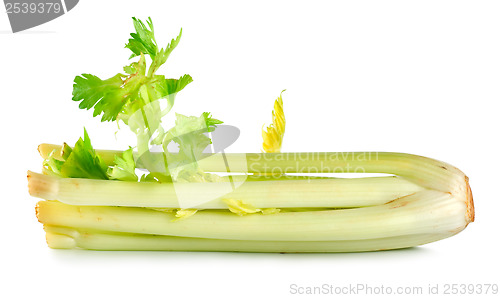 Image of Celery