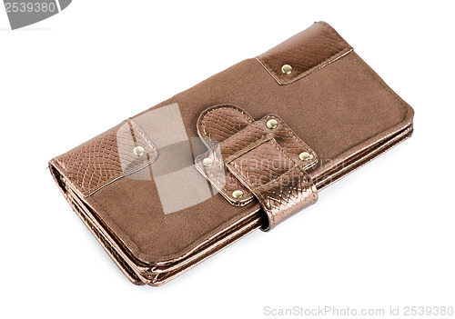 Image of Brown purse