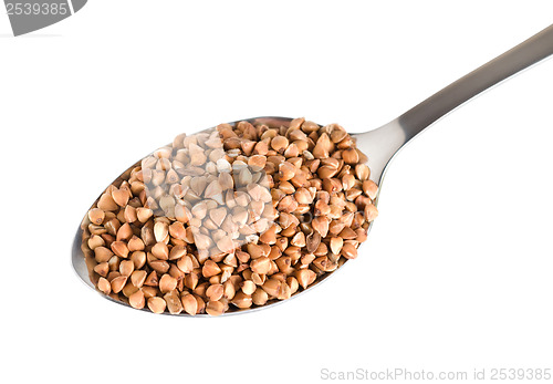 Image of Buckwheat in a spoon