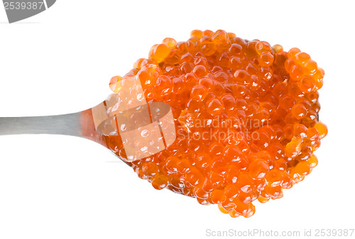 Image of Red caviar in spoon isolated