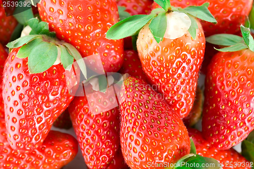 Image of Mouthwatering strawberries