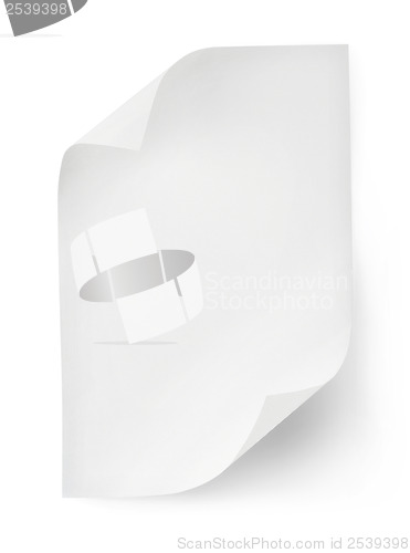 Image of White paper