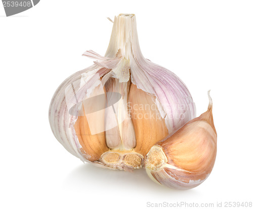 Image of Garlic isolated