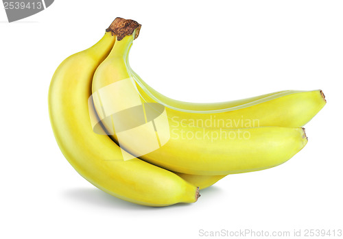 Image of Bunch of yellow bananas isolated