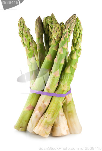 Image of Asparagus